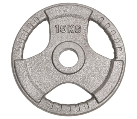 vidaXL Olympic Weight Plates 2 pcs 30 kg Cast Iron