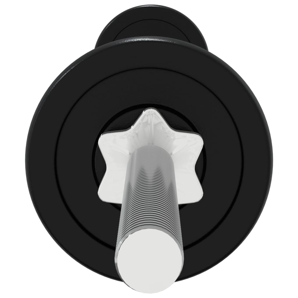 Set Bilanciere E Manubri 30 Kg In Ghisa VidaXL 15 width=274