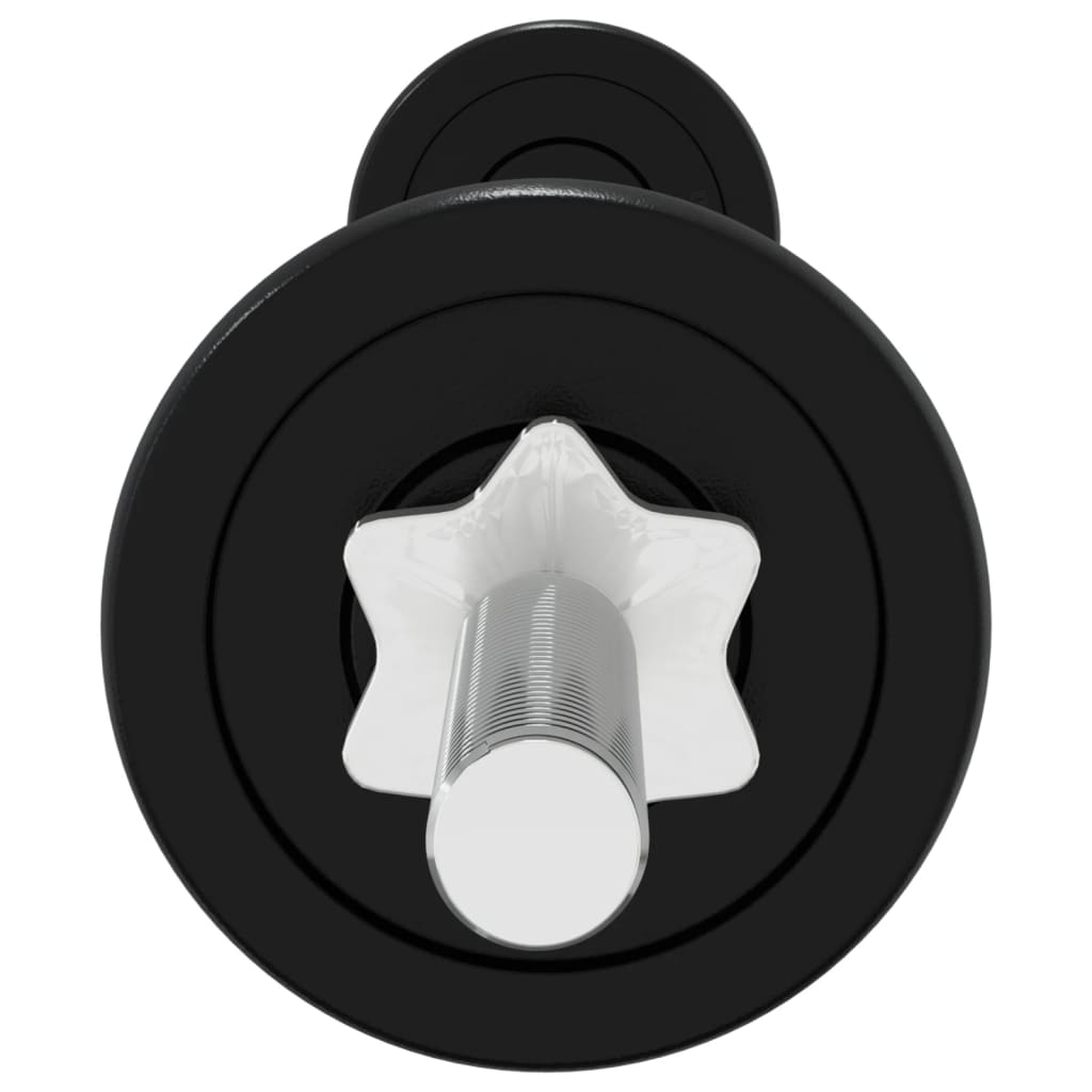 Set Bilanciere E Manubri 30 Kg In Ghisa VidaXL 19 width=274