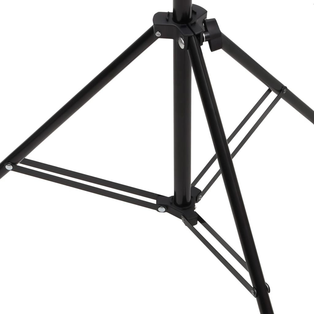 Achtergrondstandaard T-vormig 151x60x(70-200) cm zwart