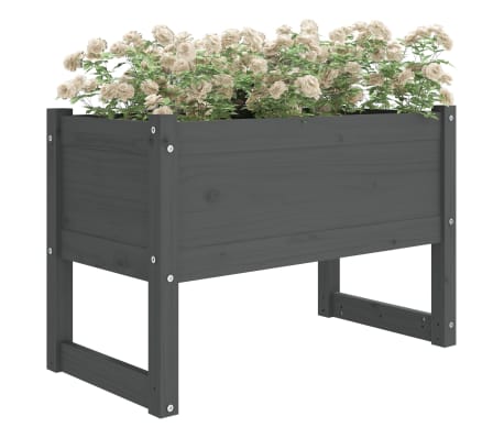 vidaXL Lovelis, pilkos spalvos, 78x40x52cm, pušies medienos masyvas