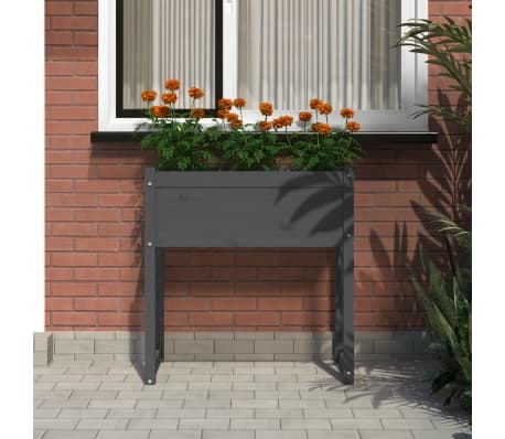 vidaXL Lovelis, pilkos spalvos, 78x40x81cm, pušies medienos masyvas