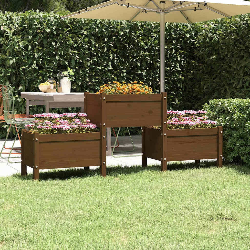 Plantekasse Massivt Fyrretræ - honningfarvet / 178.5 x 44 x 75 cm