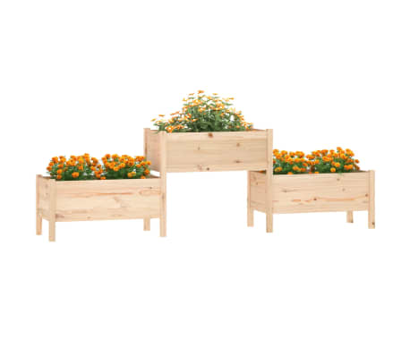 vidaXL Lovelis, 245,5x44x75cm, pušies medienos masyvas