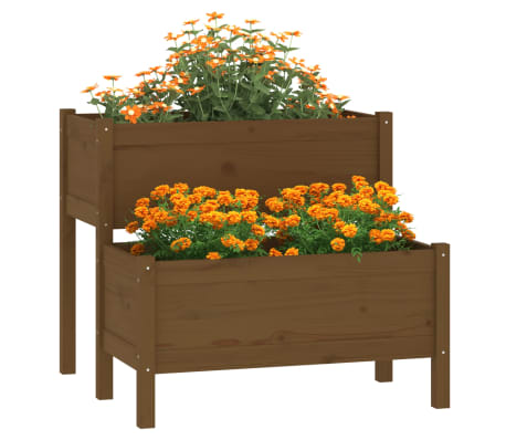 vidaXL Lovelis, medaus rudas, 84,5x84x75cm, pušies medienos masyvas