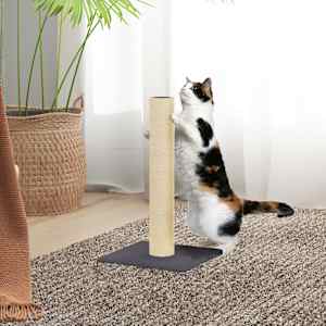 Mačji praskalnik temno siv 22x22x45 cm