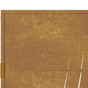 Zahradní branka 100 x 125 cm z corten oceli, design s trávou - obrázek 8