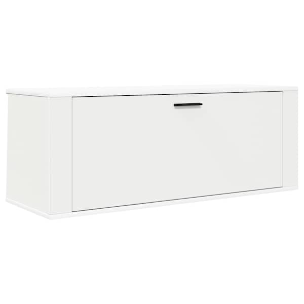 vidaXL seina jalatsikapp, valge, 100 x 35 x 38 cm, tehispuit