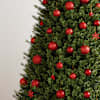 Toote pisipilt  3 / 12