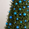 Toote pisipilt  3 / 12