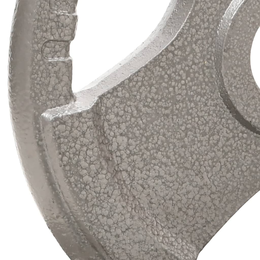 öntöttvas és krómozott acél hajlított súlyzórúd tárcsákkal 30kg