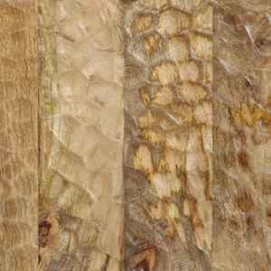 TV skříňka 80 x 31 x 46 cm masivní mangovníkové dřevo - obrázek 10