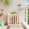 Natural_pine
