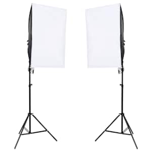 vidaXL Fotostudijos rinkinys su ap&scaron;vietimo rinkiniu ir fonu