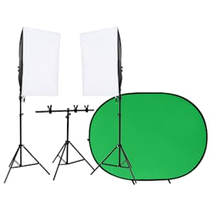 vidaXL fotostuudio komplekt valgustuse ja taustaekraaniga