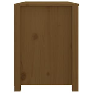 TV skříňka medově hnědá 100x40x54 cm masivní borové dřevo - obrázek 5