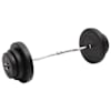 vidaXL painutatud raskuskang ketastega, 60 kg