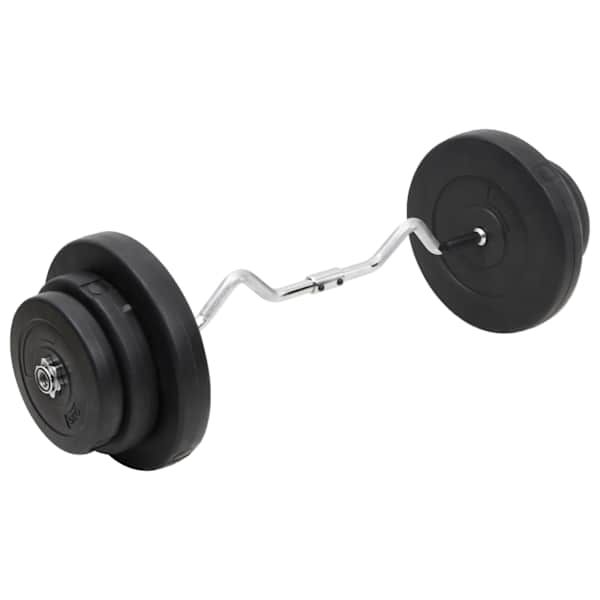 vidaXL painutatud raskuskang ketastega, 60 kg