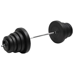 vidaXL raskuskang ketastega, 90 kg