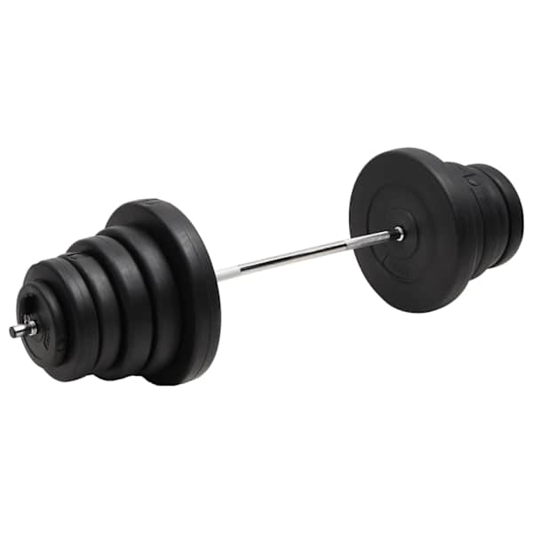 vidaXL raskuskang ketastega, 90 kg