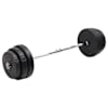 vidaXL painutatud raskuskang ketastega, 90 kg