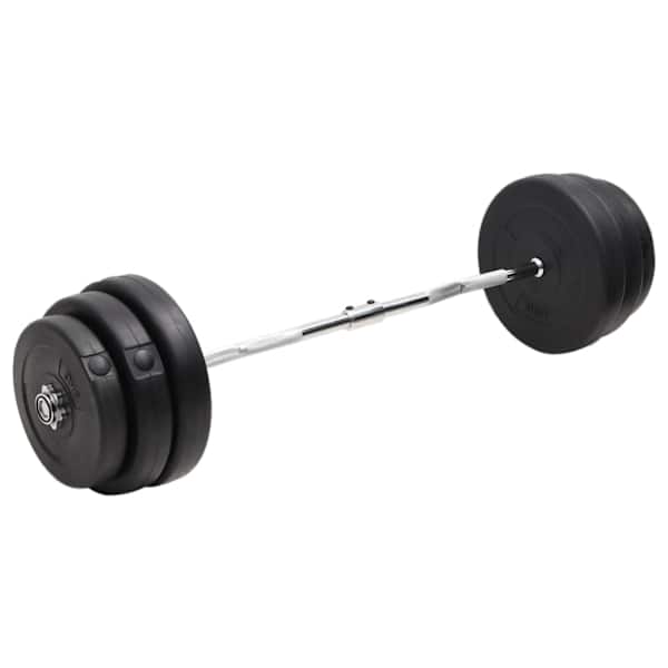 vidaXL painutatud raskuskang ketastega, 90 kg