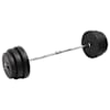 vidaXL painutatud raskuskang ketastega, 90 kg