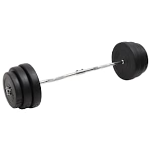vidaXL painutatud raskuskang ketastega, 90 kg