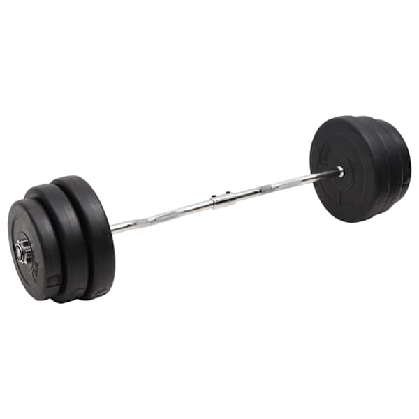 vidaXL painutatud raskuskang ketastega, 90 kg