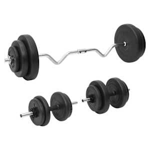 vidaXL painutatud kangi ja hantlite komplekt ketastega, 60 kg