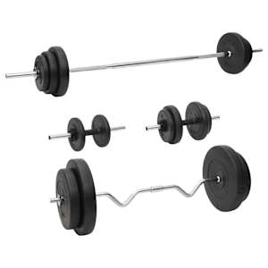 vidaXL kangi ja hantlite komplekt ketastega, 90 kg