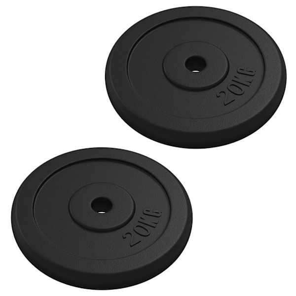 vidaXL kaaluplaat, 40 kg, malm