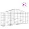 vidaXL kaarekujulised gabioonkorvid 9 tk, 200x30x80/100 cm, raud
