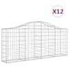 vidaXL kaarekujulised gabioonkorvid 12 tk, 200x30x80/100 cm, raud