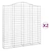 vidaXL kaarekujulised gabioonkorvid 2 tk, 200x30x200/220 cm, raud