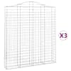vidaXL kaarekujulised gabioonkorvid 3 tk, 200x30x220/240 cm, raud