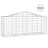 vidaXL kaarekujulised gabioonkorvid 15, 200x50x80/100cm tsingitud raud