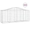 vidaXL kaarekujulised gabioonkorvid 25, 200x50x80/100cm tsingitud raud