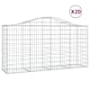 vidaXL kaarekujulised gabioonkorvid 20 tk, 200x50x100/120 cm, raud