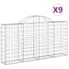 vidaXL kaarekujulised gabioonkorvid 9 tk, 200x30x100/120 cm, raud