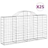 vidaXL kaarekujulised gabioonkorvid 25 tk, 200x30x100/120 cm, raud