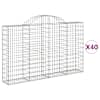 vidaXL kaarekujulised gabioonkorvid 40 tk, 200x30x120/140 cm, raud