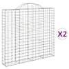 vidaXL kaarekujulised gabioonkorvid 2 tk, 200x30x180/200 cm, raud