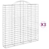 vidaXL kaarekujulised gabioonkorvid 3 tk, 200x30x200/220 cm, raud