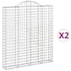 vidaXL kaarekujulised gabioonkorvid 2 tk, 200x30x220/240 cm, raud