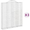 vidaXL kaarekujulised gabioonkorvid 3 tk, 200x30x220/240 cm, raud