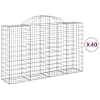 vidaXL kaarekujulised gabioonkorvid 40 tk, 200x50x120/140 cm, raud