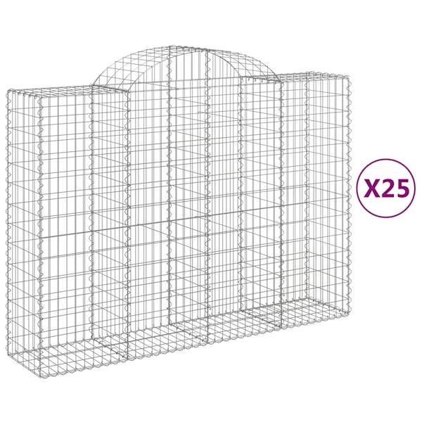 vidaXL kaarekujulised gabioonkorvid 25 tk, 200x50x140/160 cm, raud