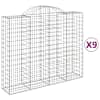 vidaXL kaarekujulised gabioonkorvid 9 tk, 200x50x160/180 cm, raud