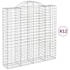 vidaXL kaarekujulised gabioonkorvid 12 tk, 200x50x200/220 cm, raud